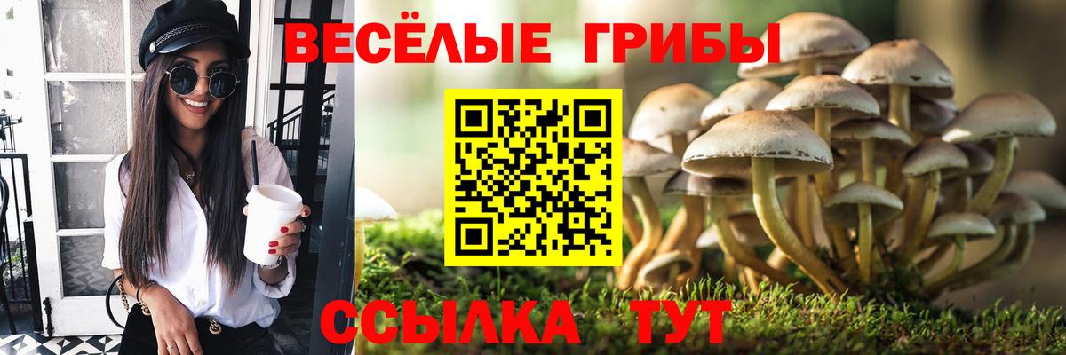 Галлюциногенные грибы мухоморы Кыштым